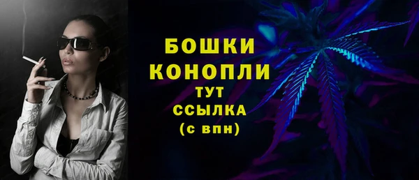 молекула духа Горно-Алтайск
