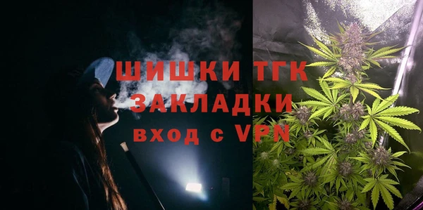 спиды Вяземский