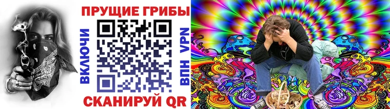 Галлюциногенные грибы Psilocybine cubensis  Брянск 